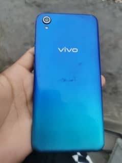 vivo