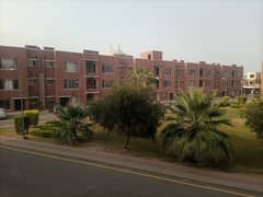 Bahria orchard Lahore rent option available apartment