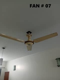 Ceiling Fans Sk fans and Yunus Fan