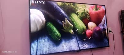 Sony Bravia smart original LCD 55 inch