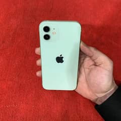 iPhone 12 jv 128 GB