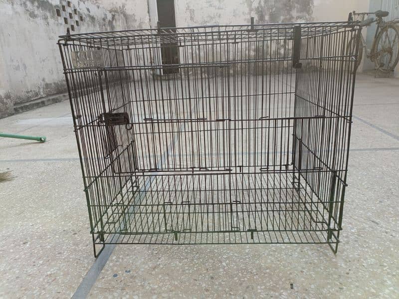 cage length 2 feet widgth 1.5 feet cage height 1.5 feet 4