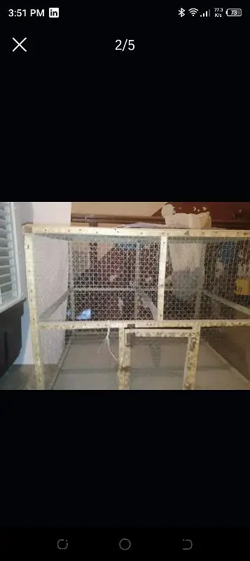HEN CAGE FOR SALE — photo 2