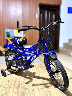 20" Morgan Bicycle with Training Wheels