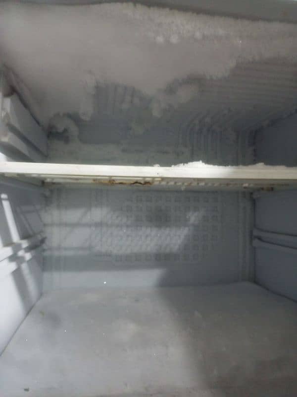 PEL fridge for sale 1