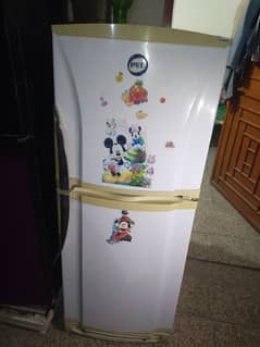 PEL company Fridge for Sale