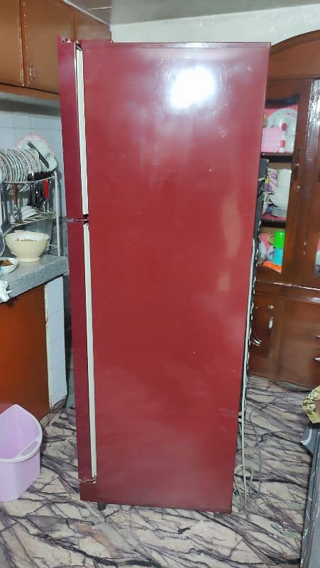 PEL Refrigerator (Medium Size Fridge) 1