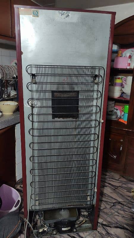 PEL Refrigerator (Medium Size Fridge) 3