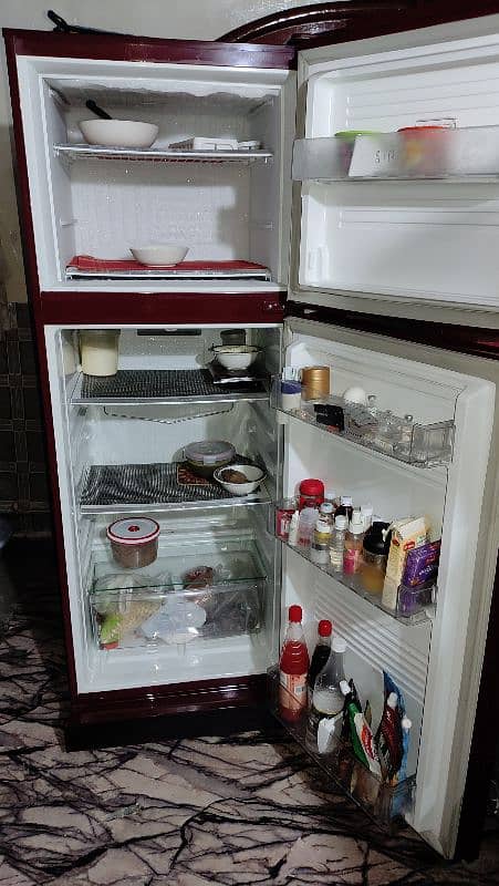 PEL Refrigerator (Medium Size Fridge) 6