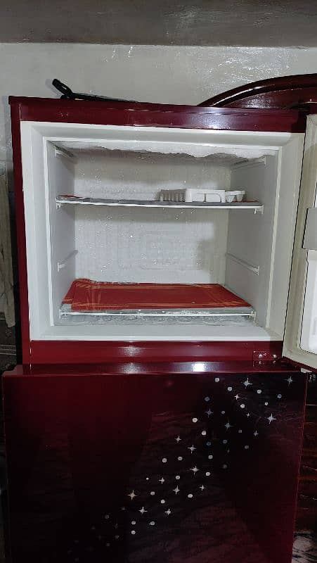 PEL Refrigerator (Medium Size Fridge) 8