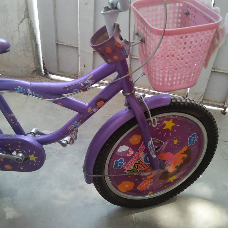 Beautiful Fancy Bi-Cycle for upto 12 yr Kids or Girls 7