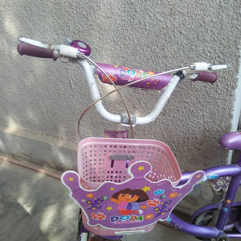 Beautiful Fancy Bi-Cycle for upto 12 yr Kids or Girls 9