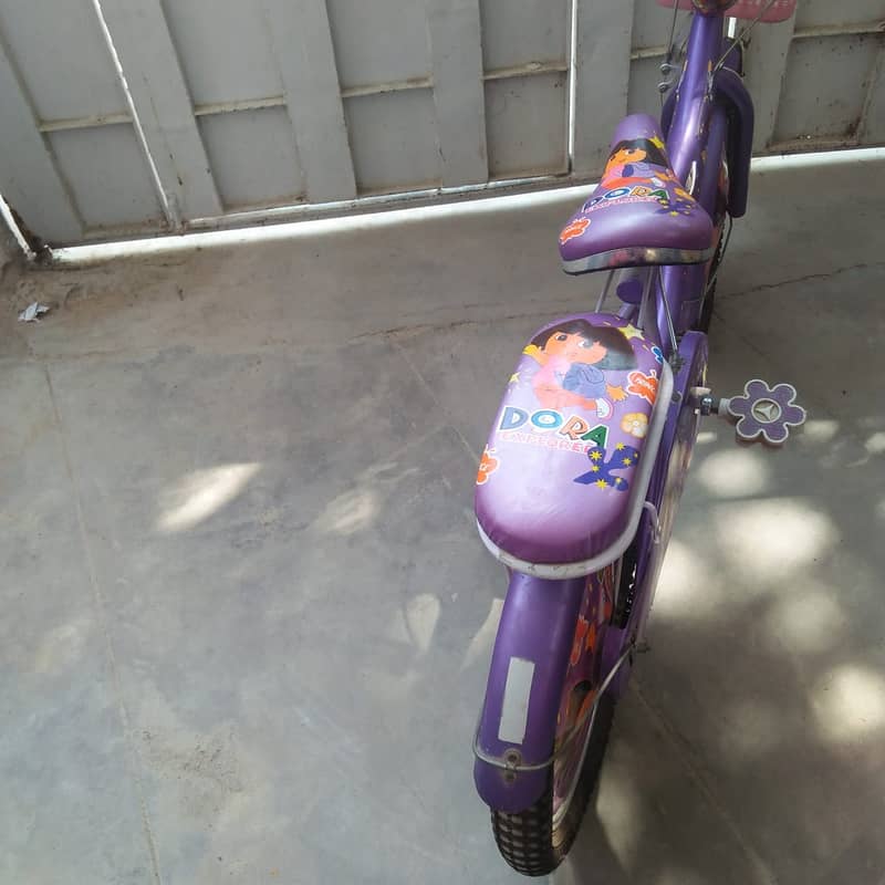 Beautiful Fancy Bi-Cycle for upto 12 yr Kids or Girls 10