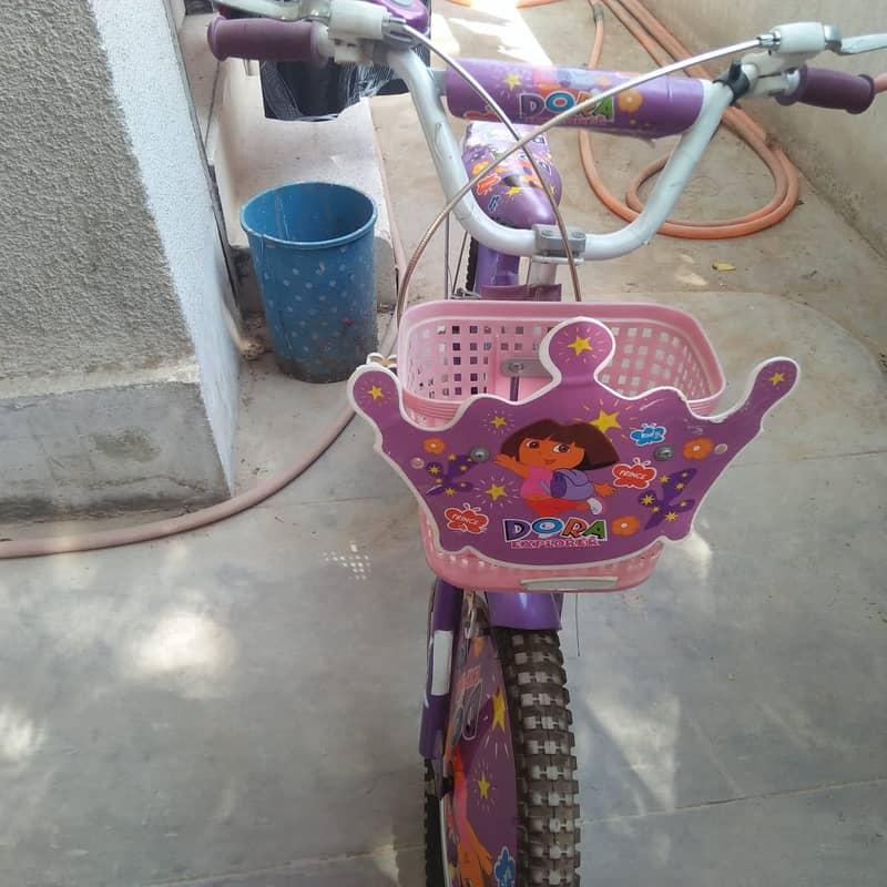 Beautiful Fancy Bi-Cycle for upto 12 yr Kids or Girls 11