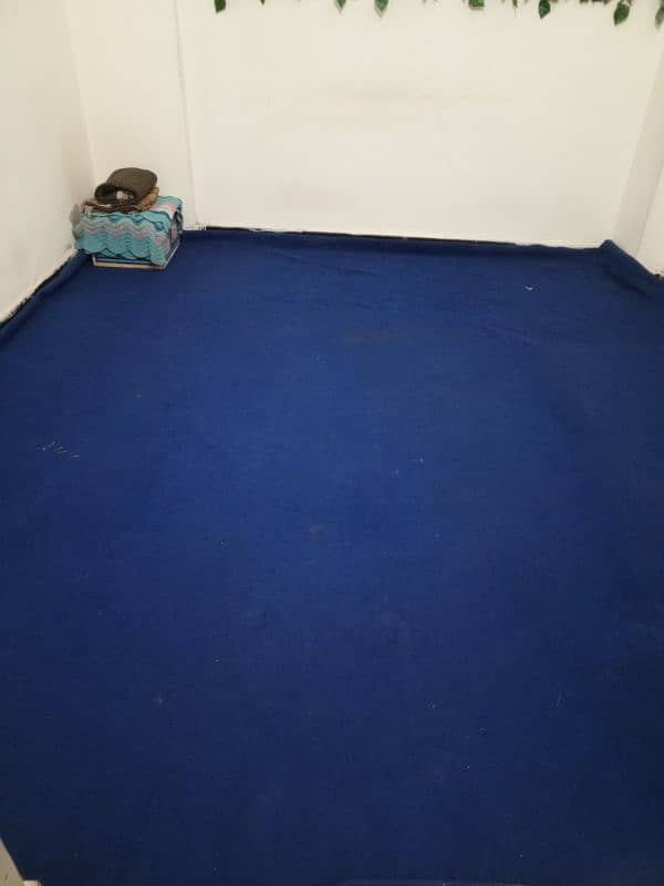 12X12 ROOM CARPET 0