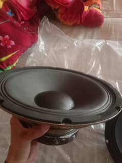 10 inch flow speaker, or jvc compny 8 in