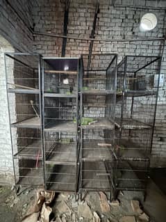 Used cages for sale