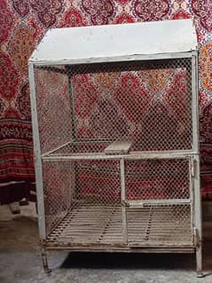 cage for sale love birds and parrots, hens