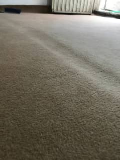 carpet with Foam