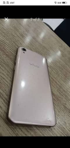 Vivo