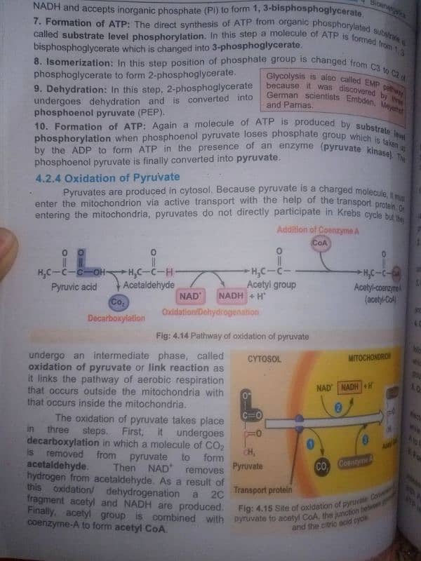 Federal board 11th and 12th class biology books 6