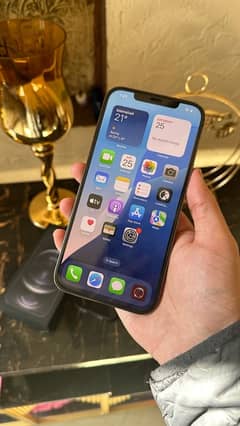 iPhone 12 Pro Max - PTA Approved