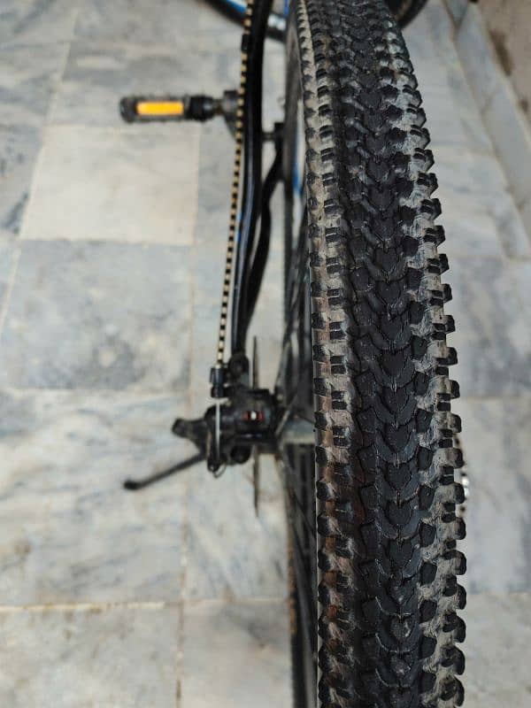 ROYAL Mtb (26 Inch) 7