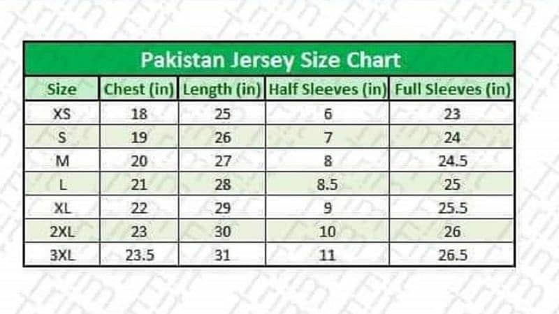 Pakistan champion trophy shirt 1-Pic in green 3