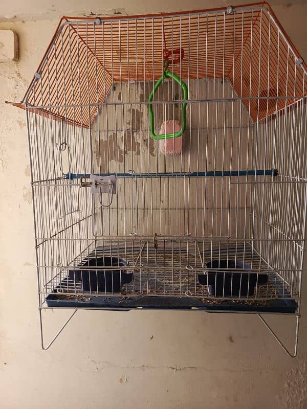 Cage in excellent condition only 3 months used 0