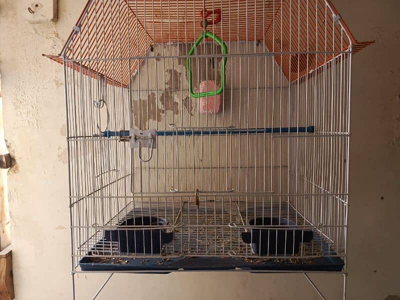 Cage in excellent condition only 3 months used 1