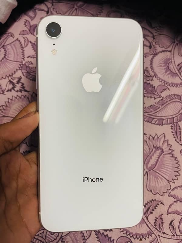 Iphone Xr White Pta Approved 1