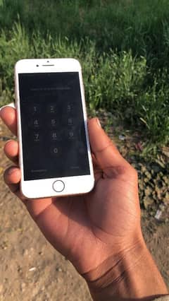 iPhone 8 bypass not pta