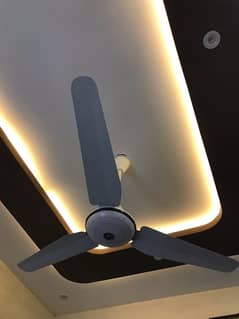 Celling Fan