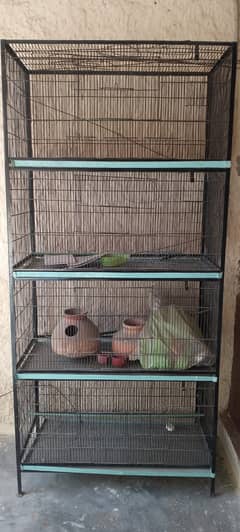 Parrots Cage