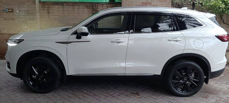 Haval H6 2024 3