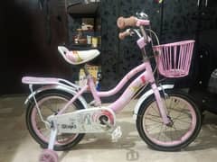 Slightly Used Bicycle for Girls