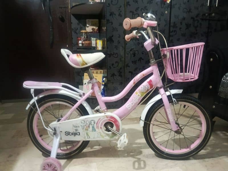 Slightly Used Bicycle for Girls 0