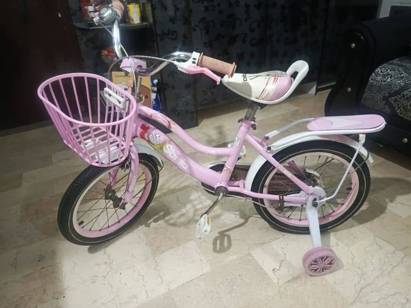 Slightly Used Bicycle for Girls 1