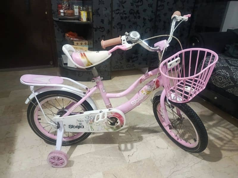 Slightly Used Bicycle for Girls 2