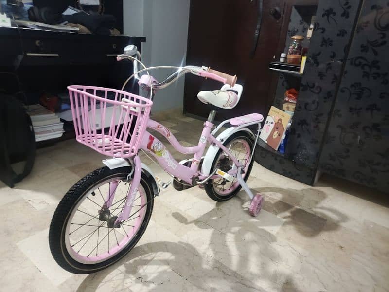 Slightly Used Bicycle for Girls 3