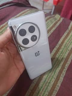 oneplus 12 white indian