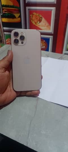 Iphone 12 Pro Max Golden