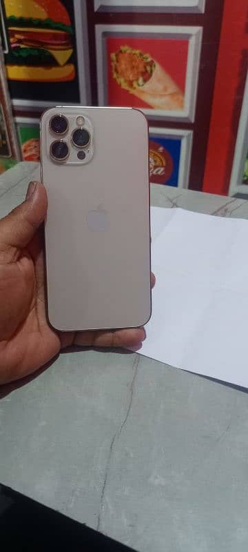 Iphone 12 Pro Max Golden 0