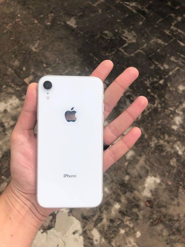 iPhone xr waterpack 1