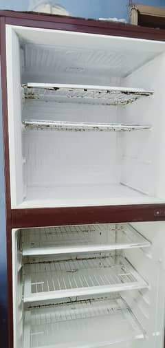 pel refrigerator