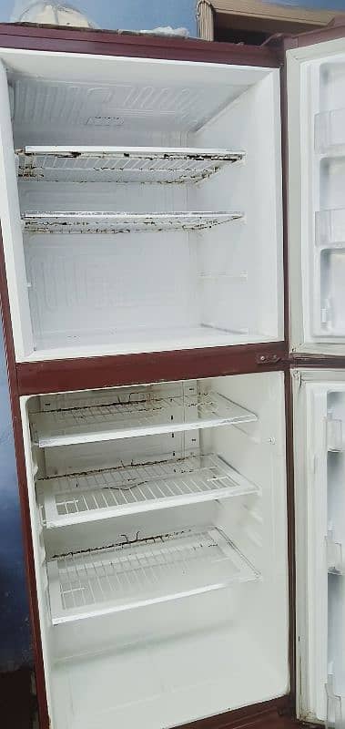 pel refrigerator 1