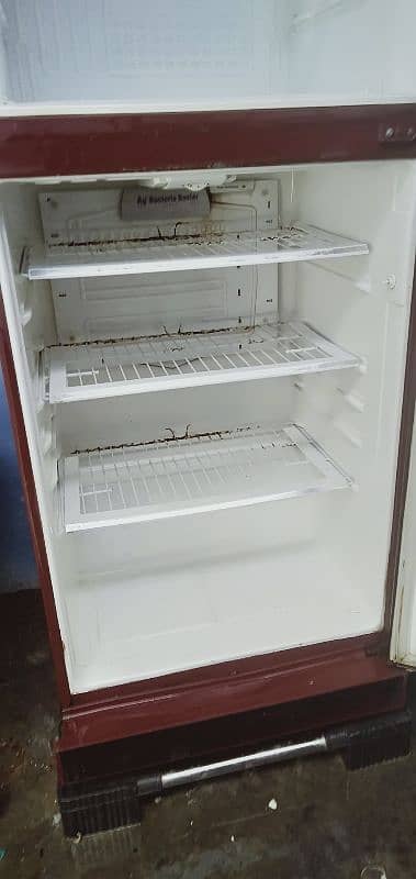 pel refrigerator 2