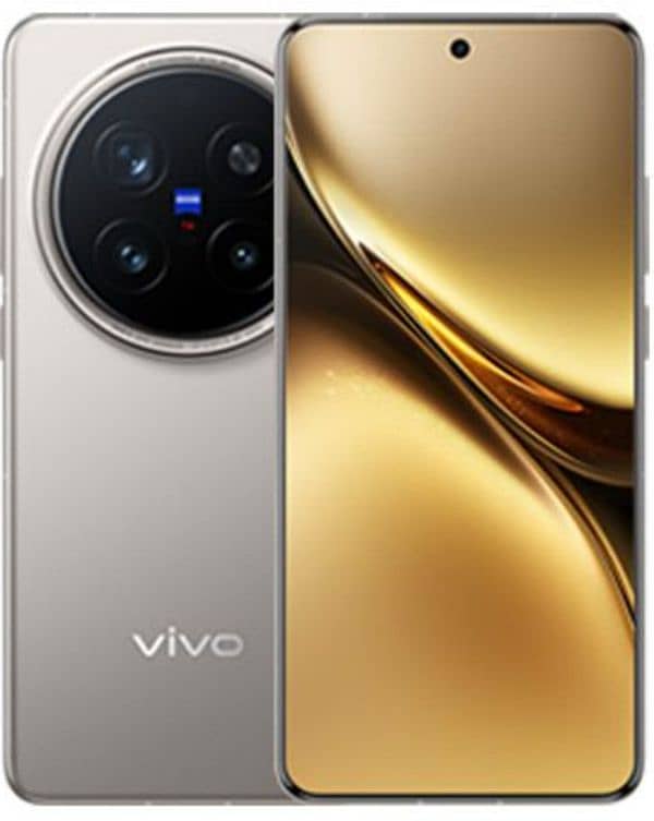 vivo x200 pro titanium gray 1