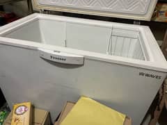 D freezer single door