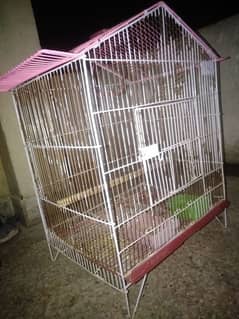 Cage birds